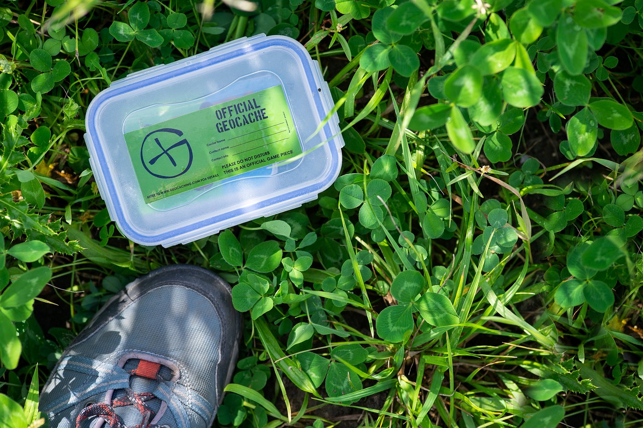 An "official geocache" container rests amidst the clover on the ground.