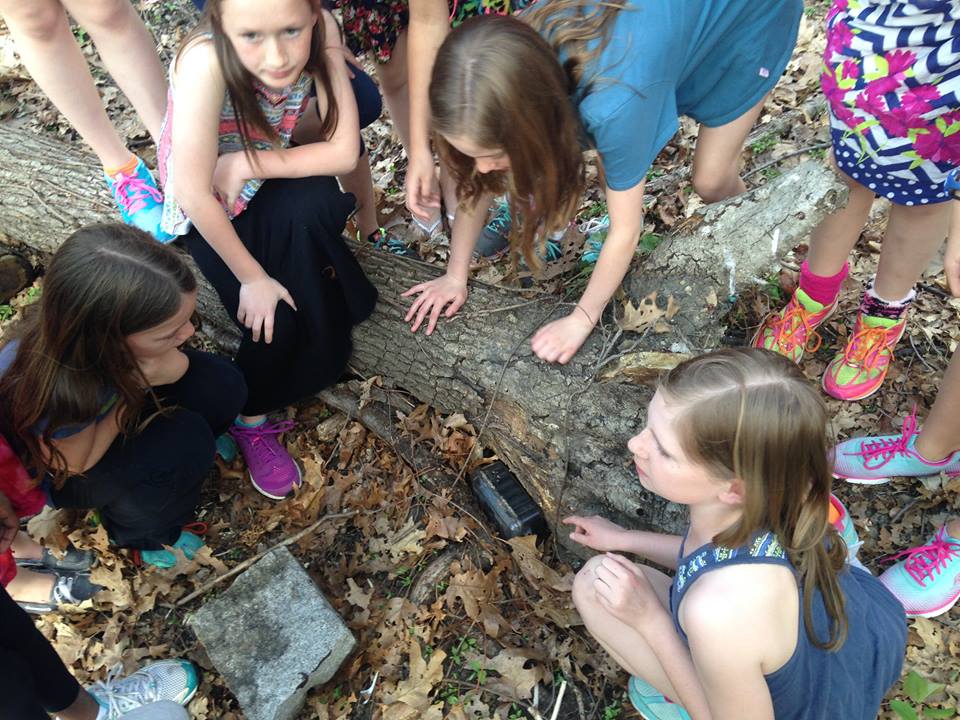Girls surround a cache in the woods that they discovered during geocacheing.